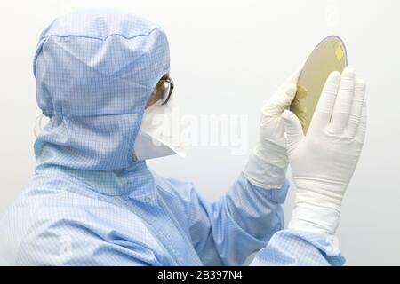 An engineer working in a clear room wearing a special uniform and protective glasses holds silicon wafer with microchips in hands in gloves Stock Photo
