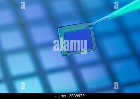 Holding microchip with pair of tweezers. Matrix sensor . Photo video sensor. Stock Photo