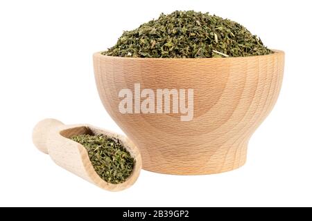 dried nettle herb or in latin Utricae folium in wooden bowl and scoop isolated on white background. medicinal healing herbs. herbal medicine. alternat Stock Photo