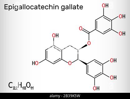 Epigallocatechin gallate (EGCG) green tea polyphenol molecule. Has ...