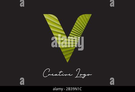 V Letter Logo with Palm Tree Leaf Pattern Design Vector Illustration. Stock Vector
