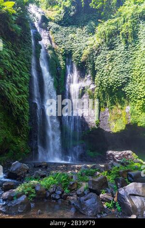 Sekumpul Waterfalls surrounded by tropical forest in Bali, Indonesia. Stock Photo