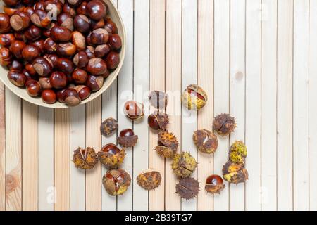 Composition of half-opened chestnuts in prickly shell and peeled nuts in bamboo plate on light wooden background with copy space. Top view. Stock Photo