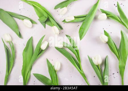 White beautiful spring tulips with green leaves on gray background. Top view, flat lay. Stock Photo