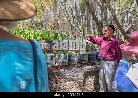 Yanhuitlan, Oaxaca, Mexico - Julio Miguel Ramírez talks with visitors about his work to restore the eroded landscape around his home. He uses various Stock Photo