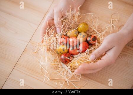 Close-up of unrecognizable woman wrapping orange and yellow Easter quails eggs into hay at table Stock Photo