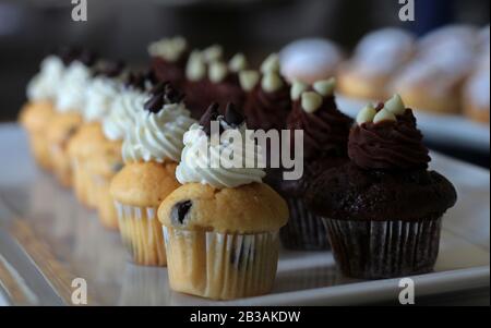 vanilla and chocolate cup cakes Stock Photo
