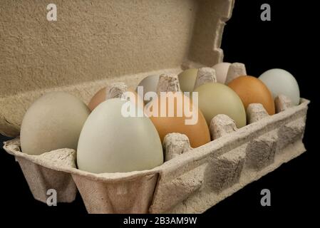 goose and chicken eggs in a cardboard box. Ecological eggs from the farm are packed in paper tray Stock Photo