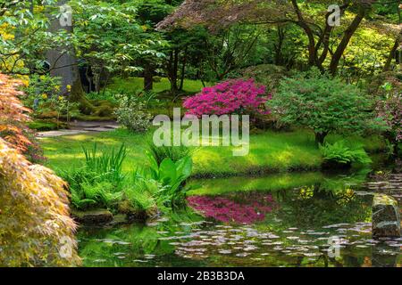 Pond and reflections in Pond .Japanese garden in Hague,   japanese garden  in  bloom at  Hague, Netherlands. Idyllic day  at  May. Stock Photo