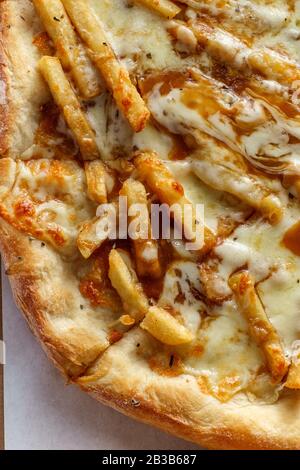 New York style specialty pizza pie with disco fries in gravy and mozzarella cheese toppings Stock Photo