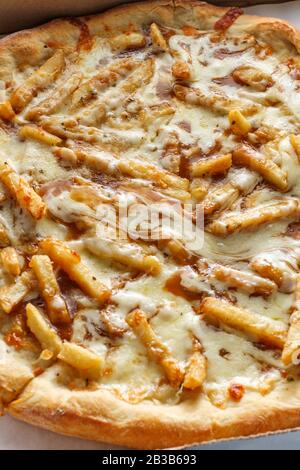 New York style specialty pizza pie with disco fries in gravy and mozzarella cheese toppings Stock Photo