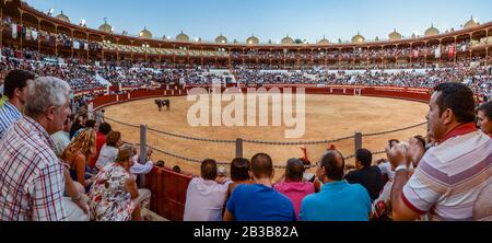 Bullring, Almeria, Andalucia, Spain Stock Photo