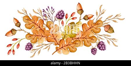 Watercolor floral composition bouquet with flower berries grass, oak leaves, lavender, acorns. Delicate handpainted flora background. Stock Photo