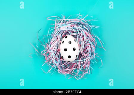 Graphic polka dot hand-painted egg in decorative nest on blue pastel background. Easter concept. Stock Photo