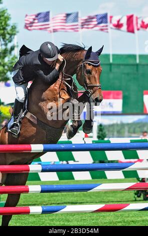 Canada 1, Spruce Meadows, June 2003, Esso Challenge, Ronnie Freeman (USA) riding Litente Stock Photo