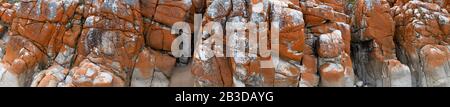 Beautiful abstract colorful texture for the background with red moss on a stone. Bright colours. Natural eco vegetation. Orange and red colors. Stock Photo