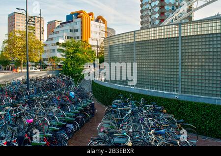 Huge bike parking in Rotterdam, the Netherlands Stock Photo