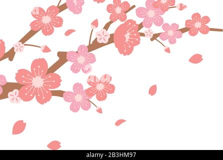 Cherry blossoms branches illustration (spring season theme ) Stock Vector
