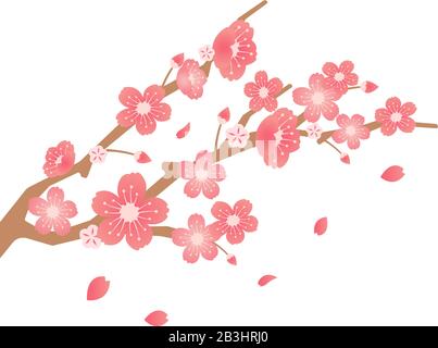 Cherry blossoms branches illustration (spring season theme ) Stock Vector