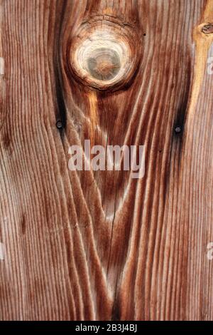 The texture of a wooden log. The texture of lumber. Stock Photo