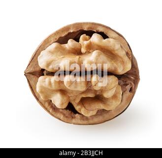 Wulnut isolated on white background with clipping path Stock Photo