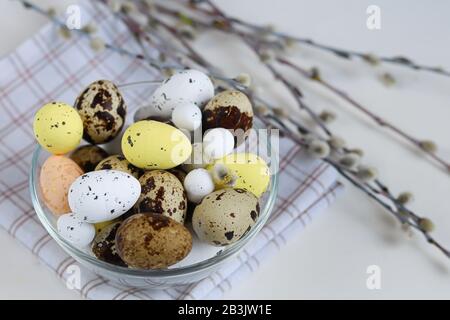 Easter, colored eggs on a light background, holiday background for your decoration. Near willow branches, feathers. Copy space Stock Photo