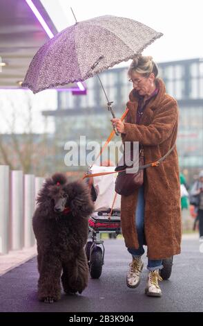 Dogs and owners arrive for the Crufts Dog Show at the National ...