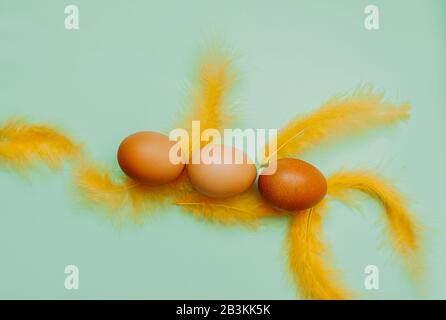 Three Plain chicken easter eggs with yellow fluffy feathers on a light blue background. Easter ready minimalism layout, flat lay Stock Photo