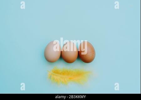 Three ordinary chicken eggs gradient from light to dark eggs with a yellow feather on a clear blue background. Themed Easter image no to racism. Stock Photo