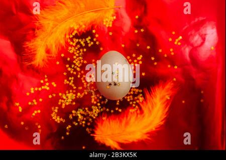 A chic festive pure Easter egg with star spangles with yellow feathers around it on a red mettalic shiny three-dimensional background. Happy Easter ar Stock Photo