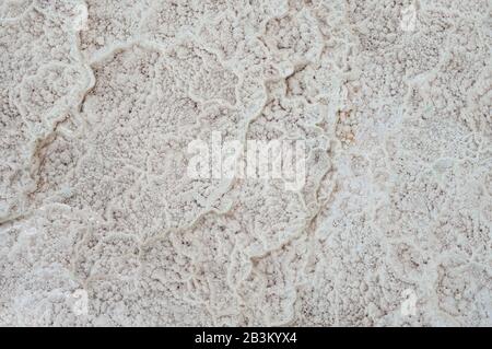 Such pattern is made from adarce (Caucasus Mountains, Georgia). Travertine is a form of limestone deposited by mineral springs. Stock Photo