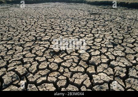 drought, India, Asia Stock Photo