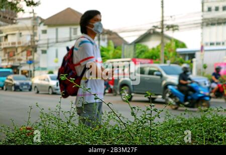 Closeup green leaves with blurry man wearing face mask protecting himself from air pollution Stock Photo