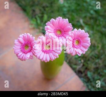 Top view of pink gerbera flowers bouquet in green vase. Stock Photo