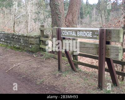 Cycle track Forest of Dean Stock Photo
