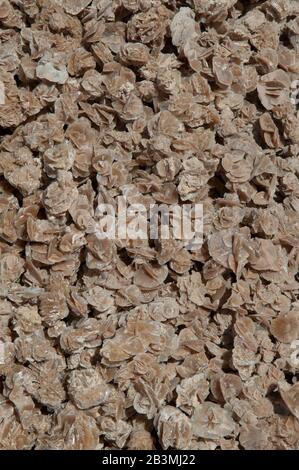 Such 'mineral flowers' are suggested for turists as a present in North Africa. Desert rose is the colloquial name given to rosette formations of the m Stock Photo