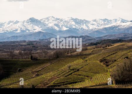 Wineyards in Gattinara, Italy Stock Photo