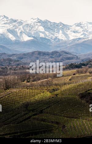 Wineyards in Gattinara, Italy Stock Photo