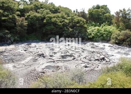 Boiling mud pool at Rotorua, New Zealand Stock Photo