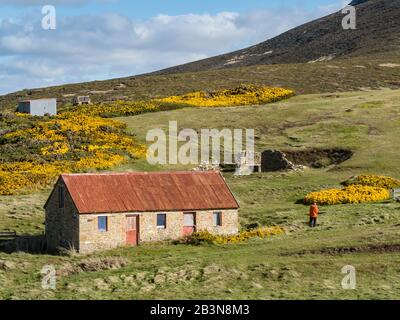 View of the sheep settlement abandoned in 1992 on Keppel Island, Falkland Islands, South America Stock Photo