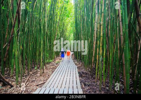 Hikers on Pipiwai trail in bamboo forest, Haleakala National Park, Maui Island, Hawaii, United States of America, North America Stock Photo
