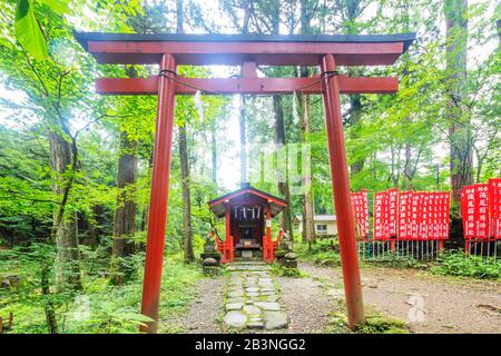 Kitano Shrine, Nikko, UNESCO World Heritage Site, Tochigi prefecture, Honshu, Japan, Asia Stock Photo