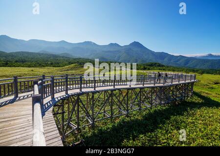 Walkway at Goko Five Lakes, Shiretoko National Park, Hokkaido, Japan, Asia Stock Photo