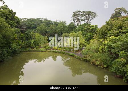 Learning Forest, Singapore Botanic Gardens Stock Photo - Alamy