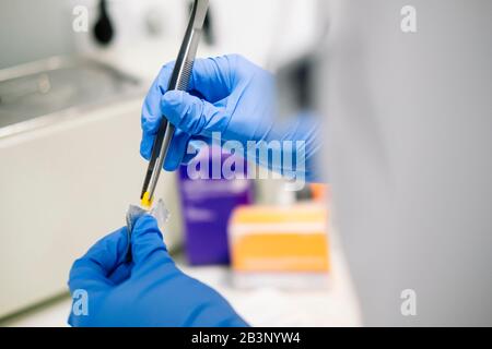 Closeup detail of the hands of a person in white coat taking some pills with blue latex gloves Stock Photo