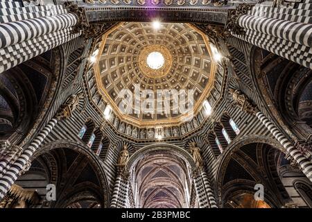 Interior view of the ceiling of the Dome of Siena (Duomo) by day Stock Photo