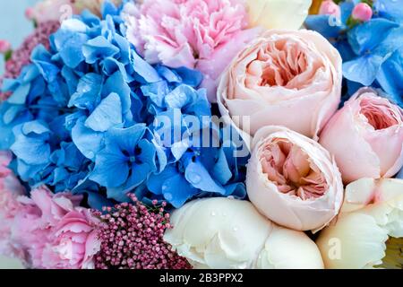 Selective focus. Bouquet of gentle peony flowers, blue hortensia flower and pink carnations with drops. Stock Photo