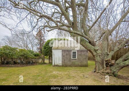 Small weathered shed in Long Island, NY Stock Photo