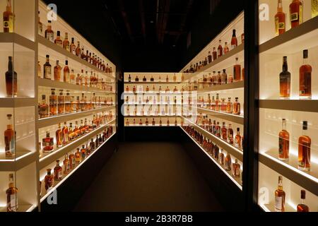 Visitors in the Bottle Hall it showcase every brand of bourbon currently produced in the state of Kentucky.Frazier History Museum. Louisville. Kentucky.USA Stock Photo