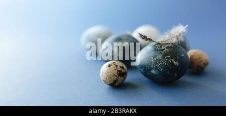 Beautiful group ombre blue Easter eggs with quail eggs and feathers on a blue background. Easter concept. Border eggs. Copy space for text Stock Photo